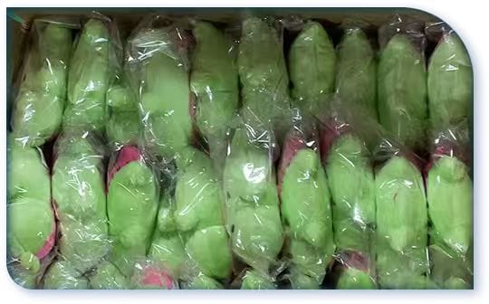 Plush Toys in Bulk